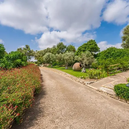 Country house Ideal Mallorca - Sa Pleta Petra (Mallorca)